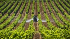 ¿Cómo puedo facturar en el SAT gratis?